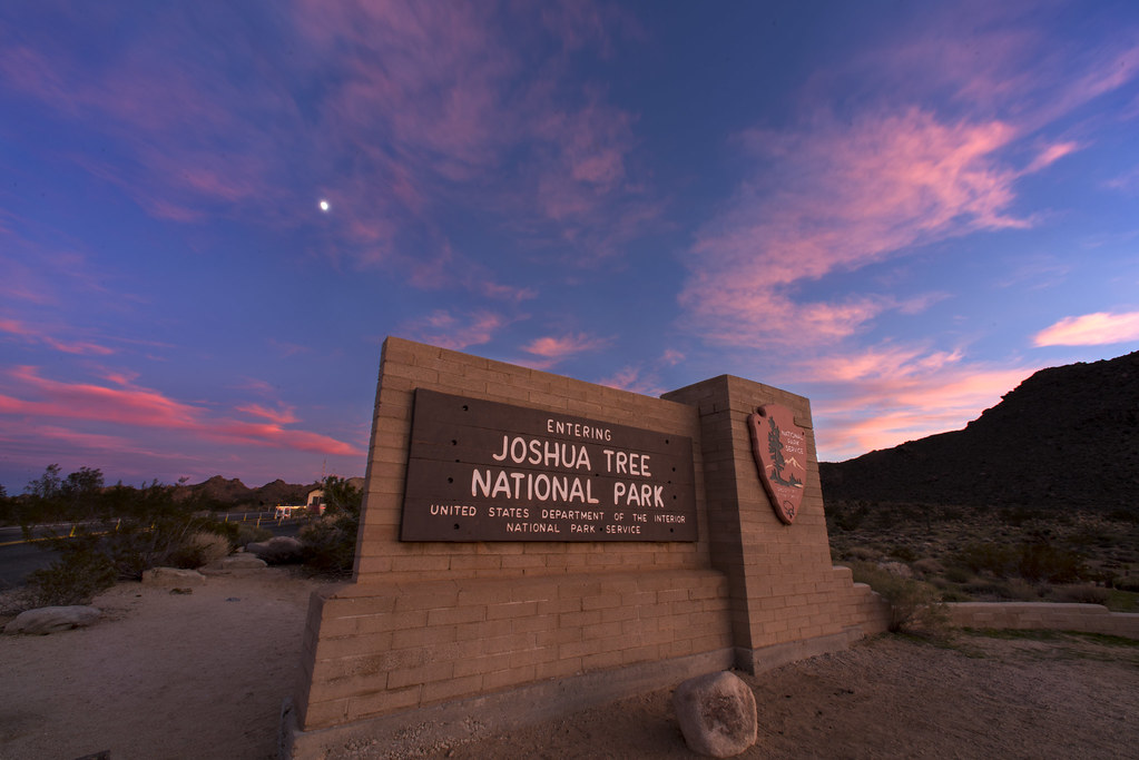 Things To Do In Joshua Tree NationalPark